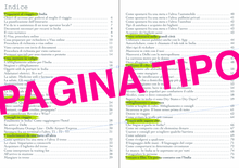 Load image into Gallery viewer, VADO IN INDIA! Manuale del viaggiatore consapevole
