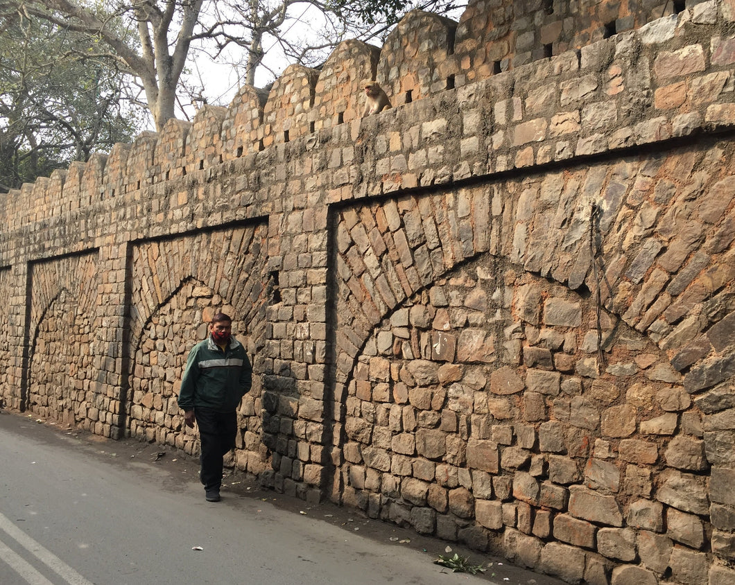 KASHMIRI GATE AND SURROUNDINGS - Tour on the spot